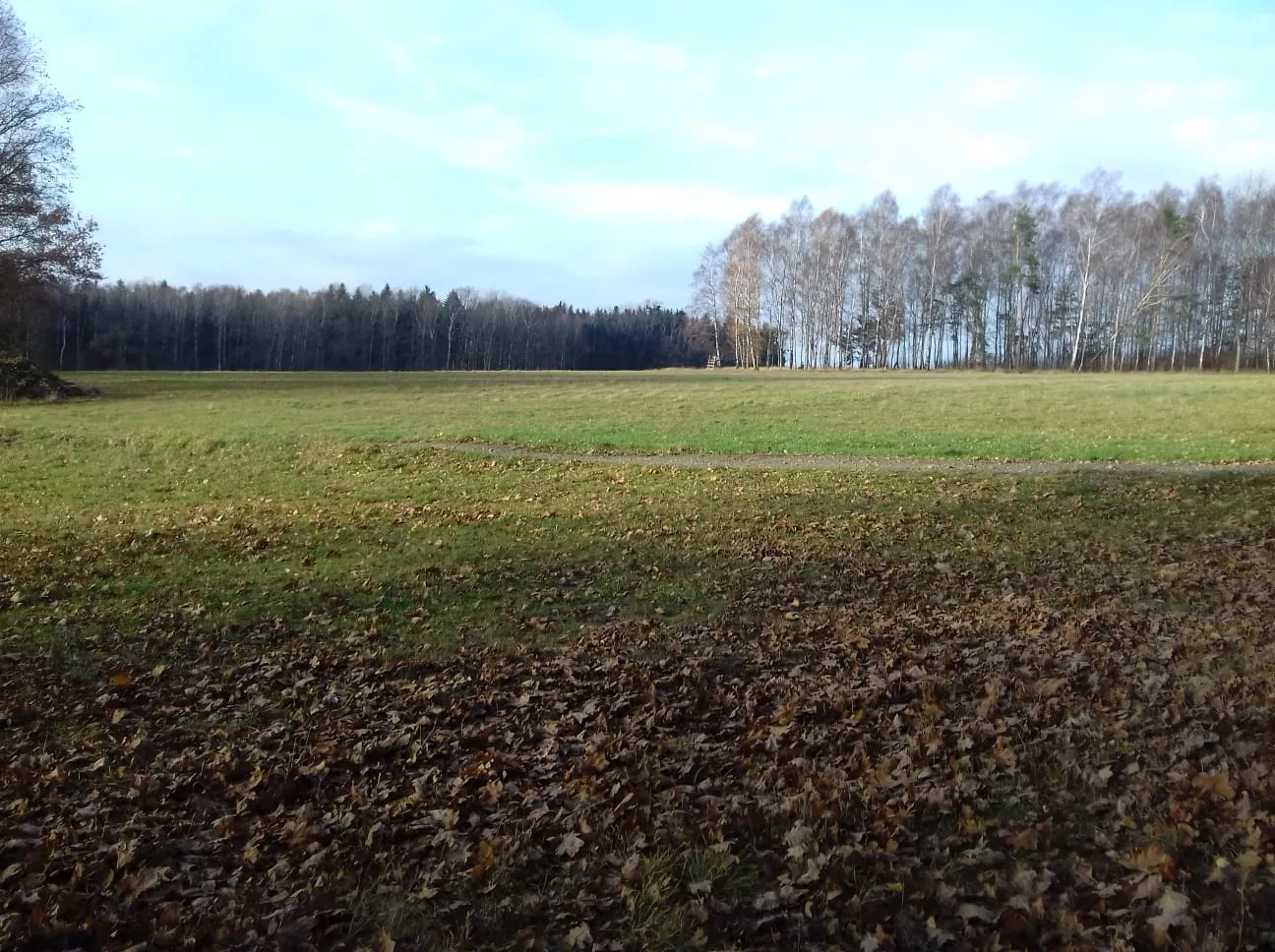 Waldkindergarten Zauberwald Außenbereich