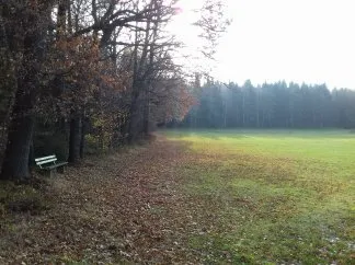 Waldkindergarten Zauberwald Außenbereich