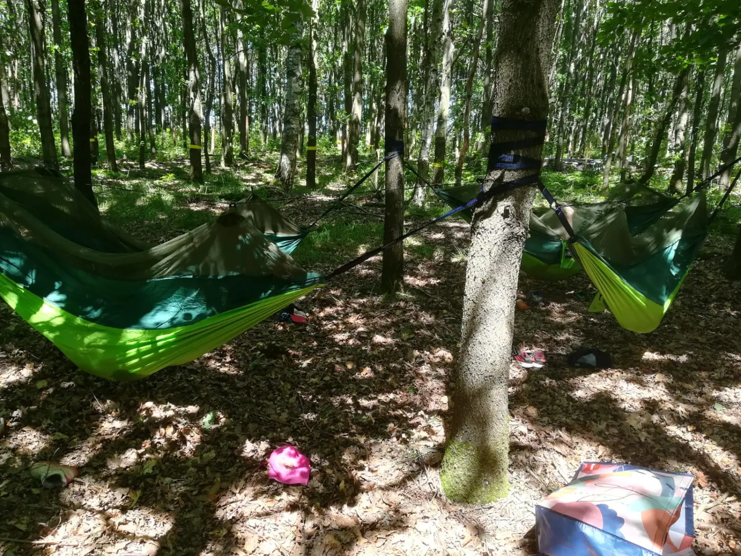 Waldkindergarten Zauberwald Außenbereich